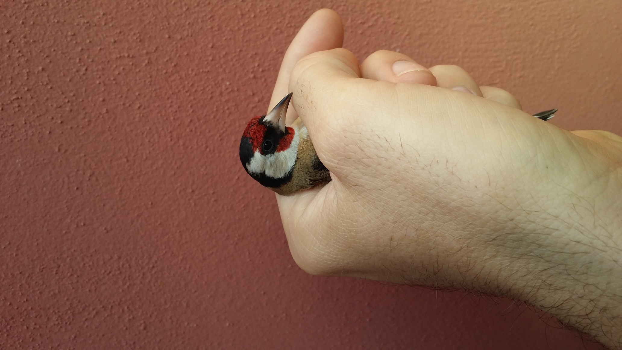 20151204_140512.jpg