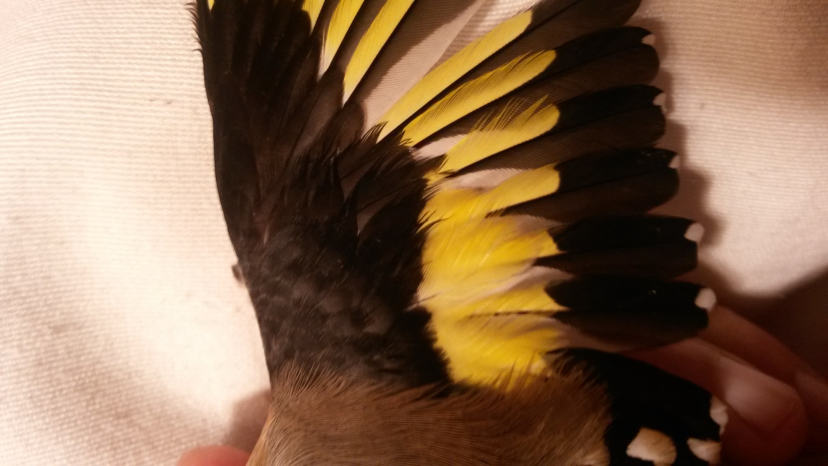 20151123_195503.jpg