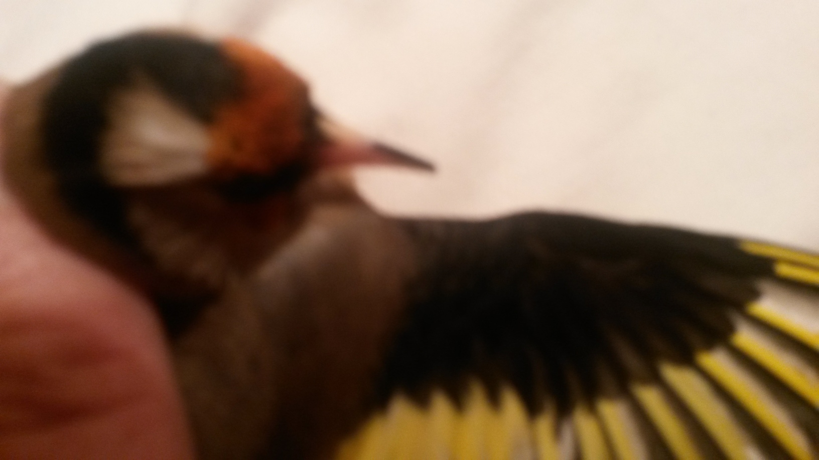 20151214_194716.jpg
