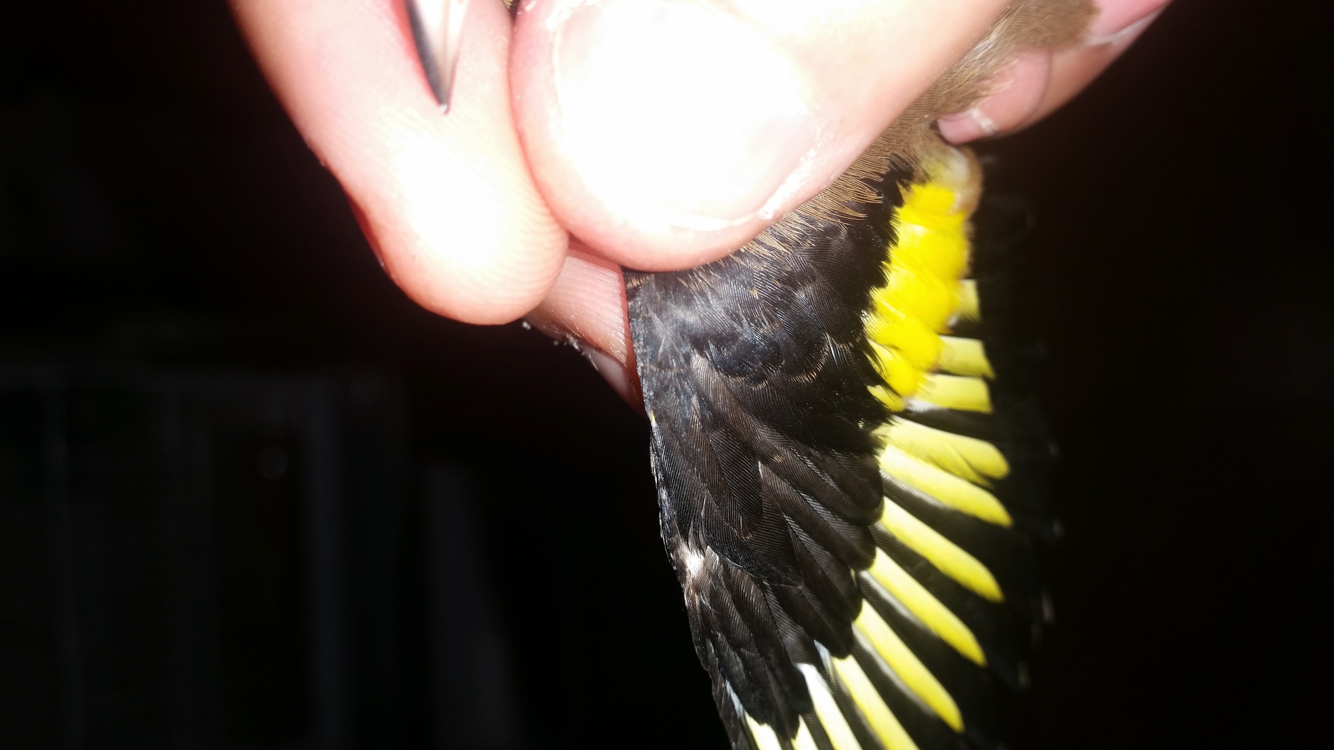 20151214_222355.jpg