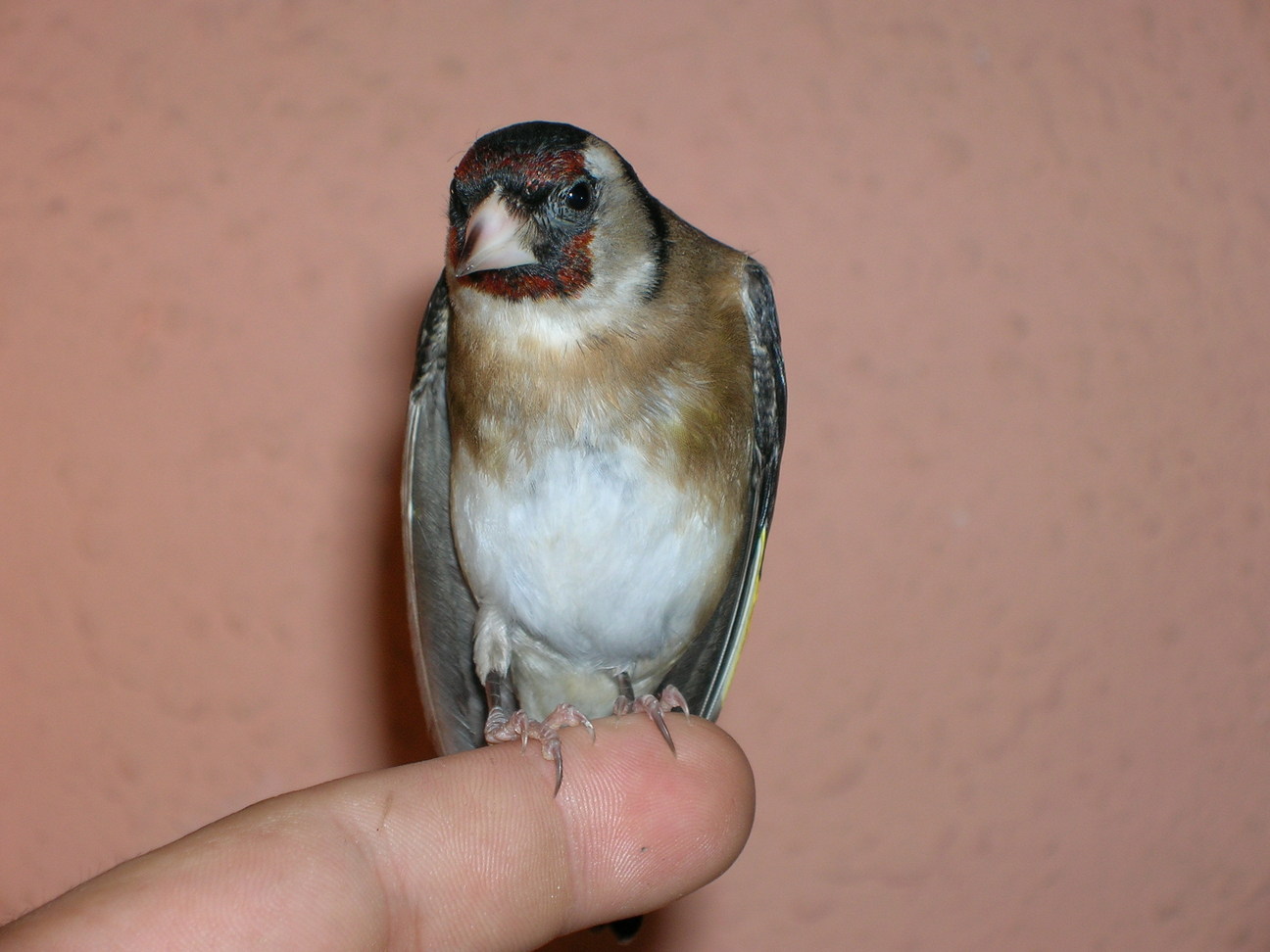 DSCN2033.JPG