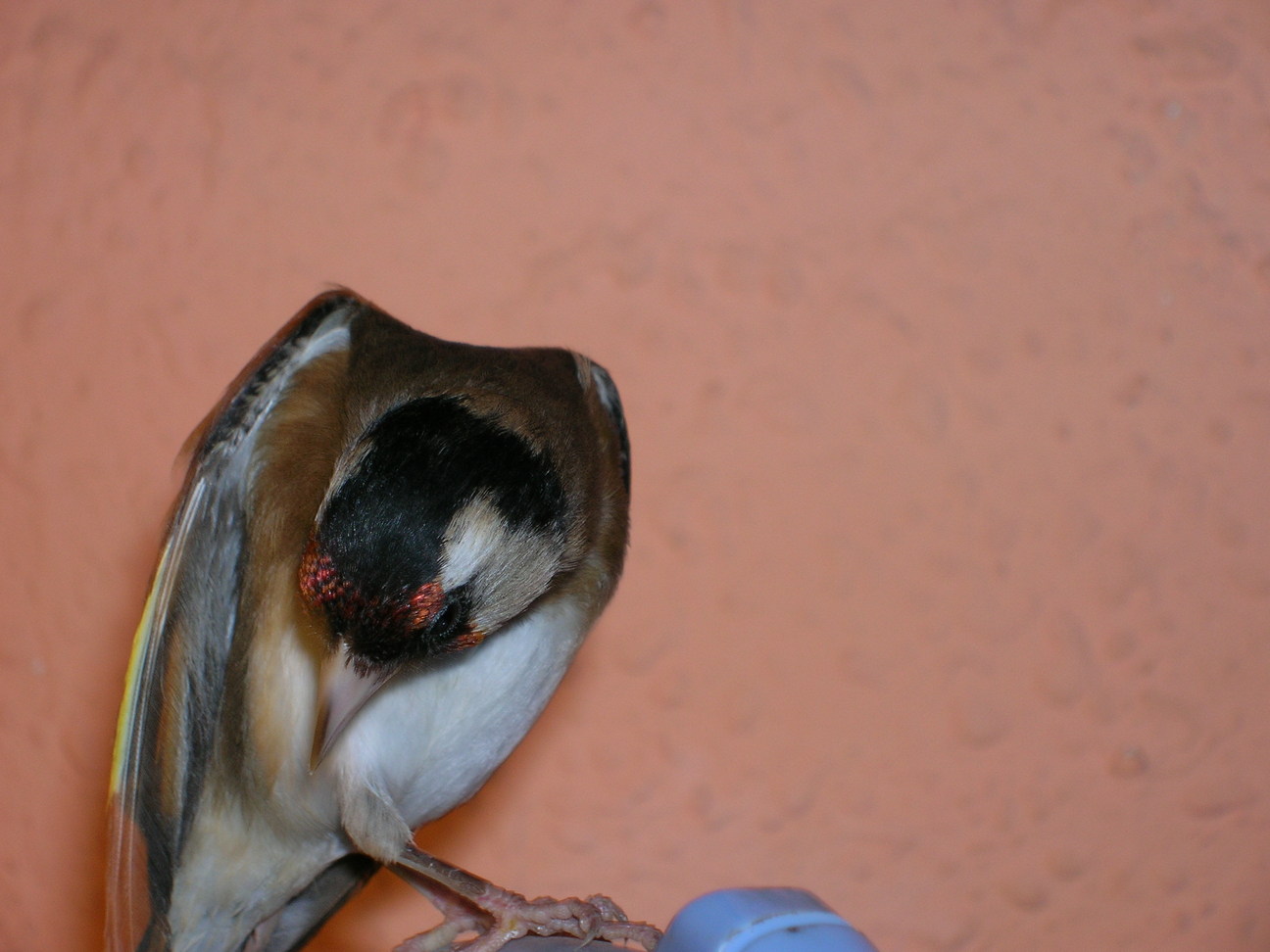DSCN2041.JPG