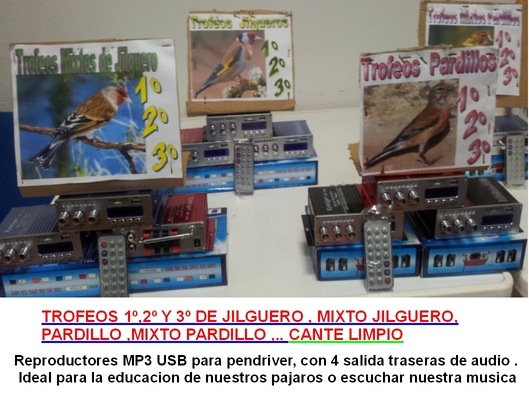 JPEG 2 TROFEOS CANTE limpio.jpeg