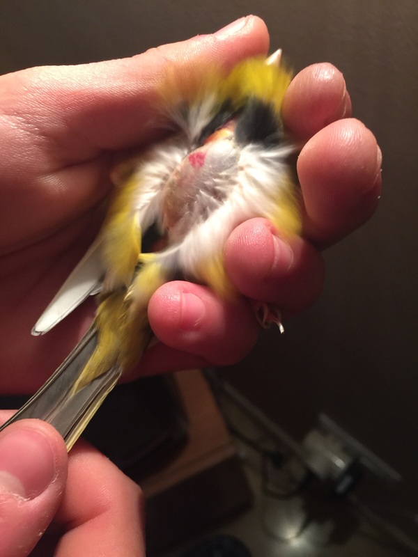 IMG-20151220-WA0012.jpg