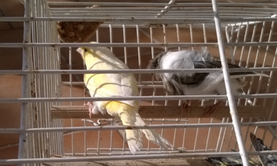 wp_ss_20151226_0001.png
