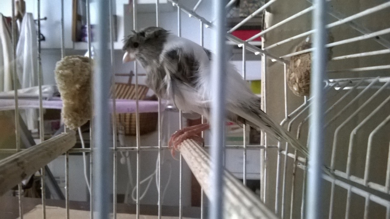 WP_20151227_003.jpg