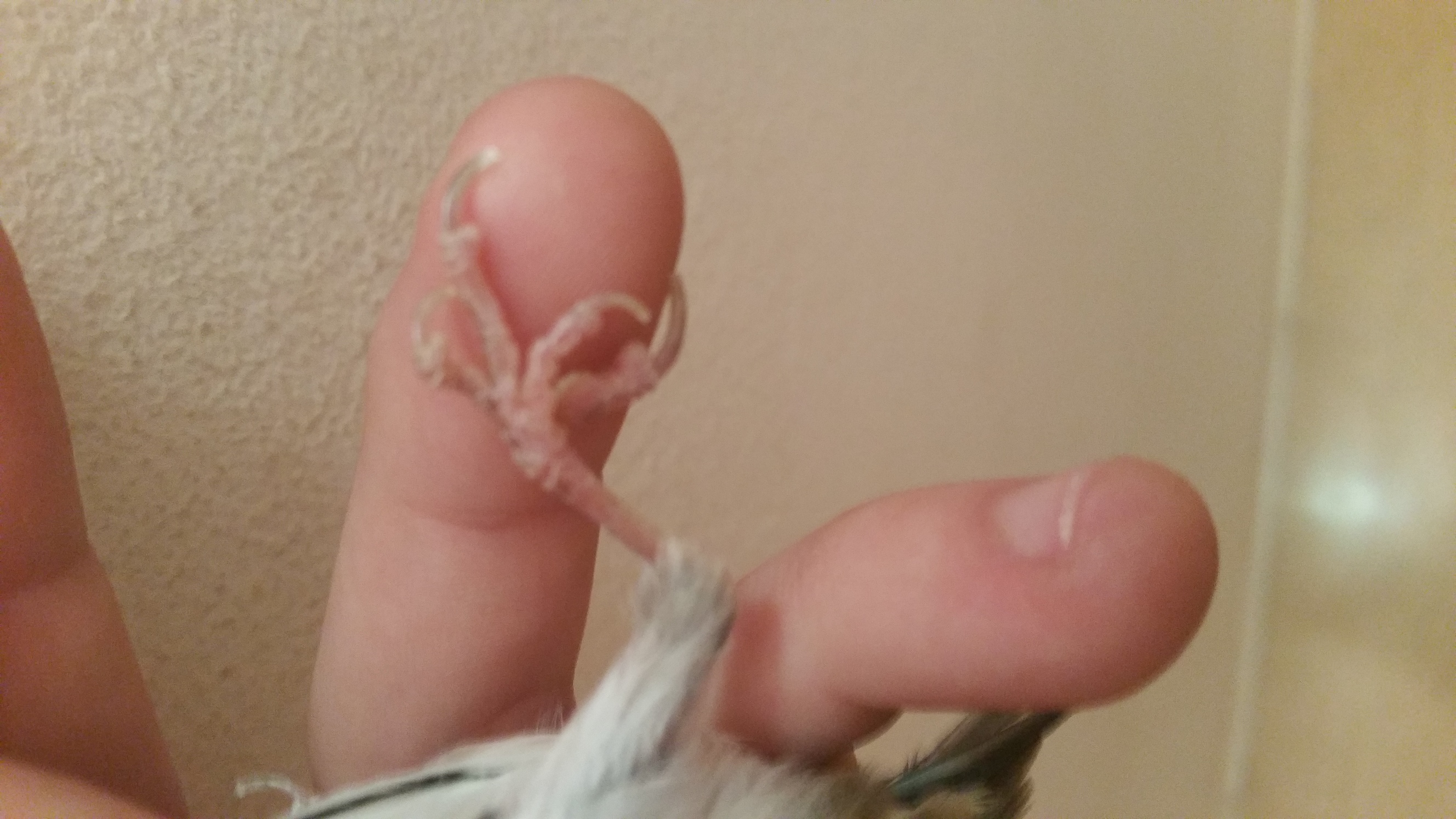 20151229_220123.jpg