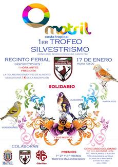 2605_I_Concurso_de_Silvestrismo_Ciu.jpg