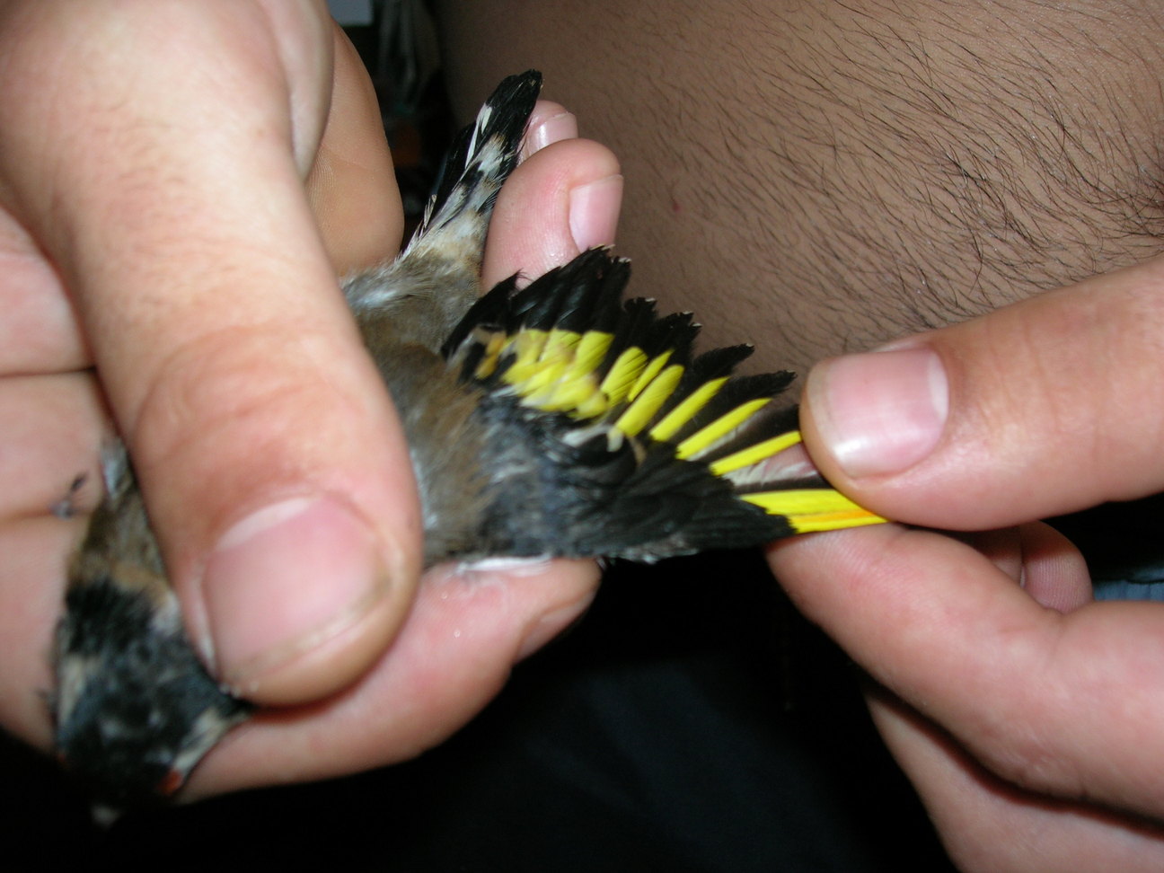 DSCN2085.JPG