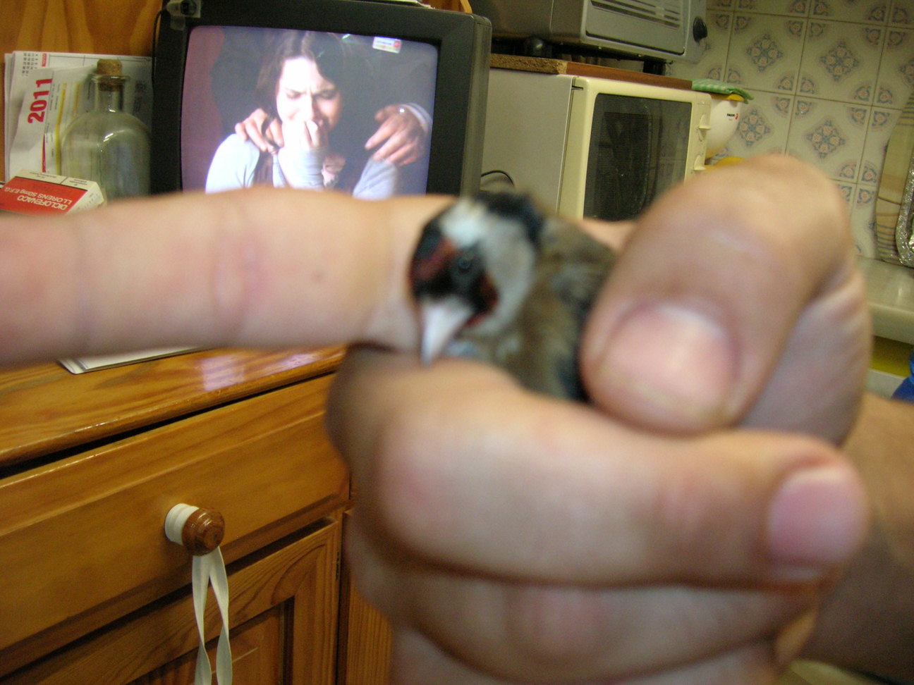DSCN2087.JPG