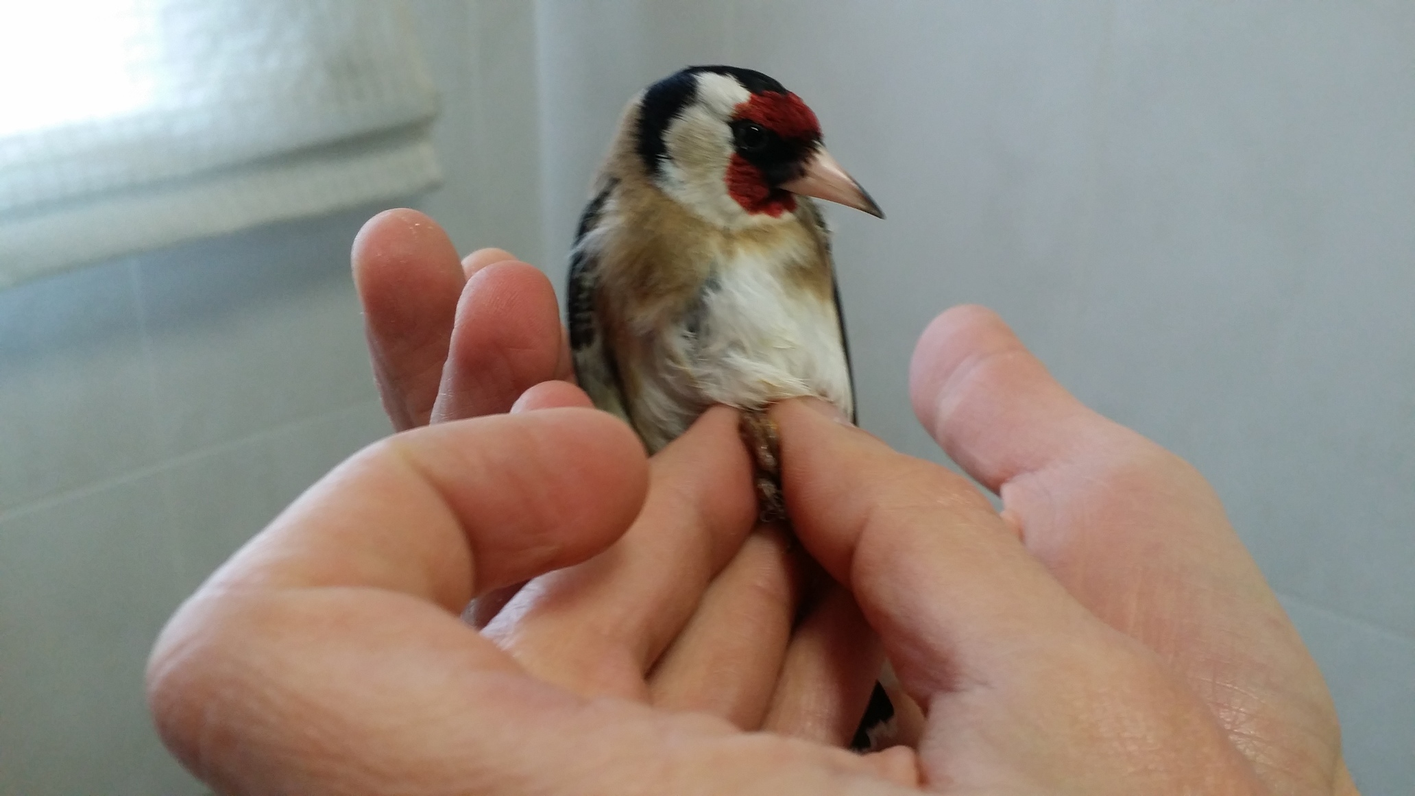 20160101_113947.jpg