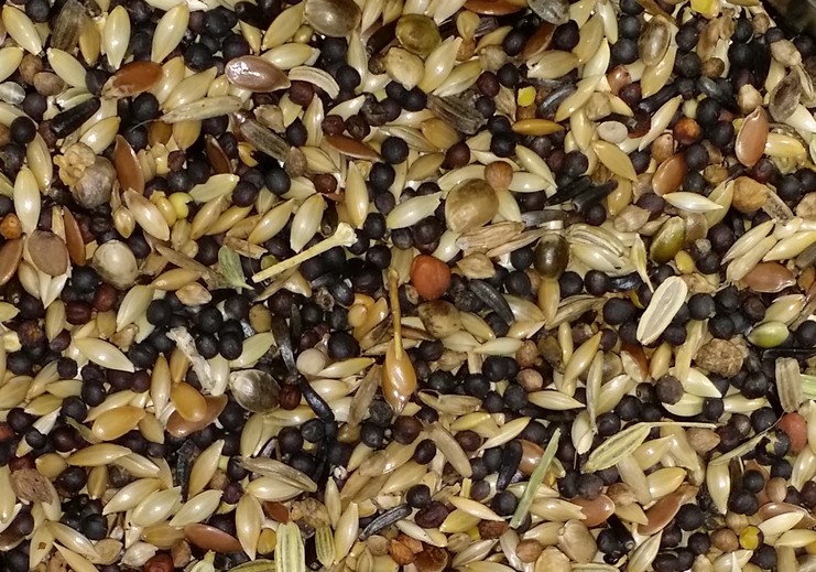 20160109_194951 (2).jpg