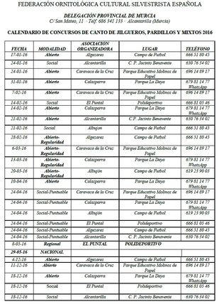 Concursos Murcia.JPG