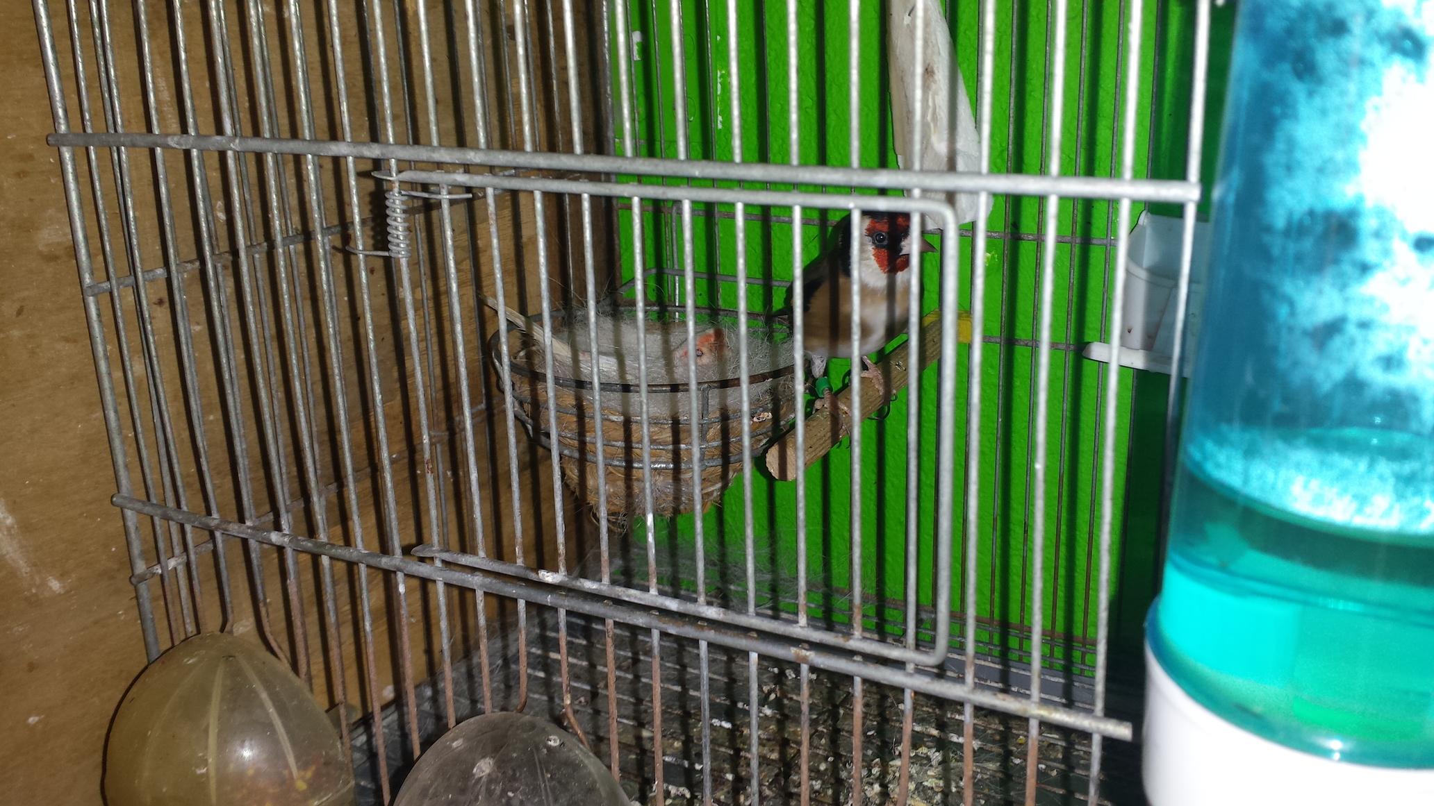 20160203_090450.jpg