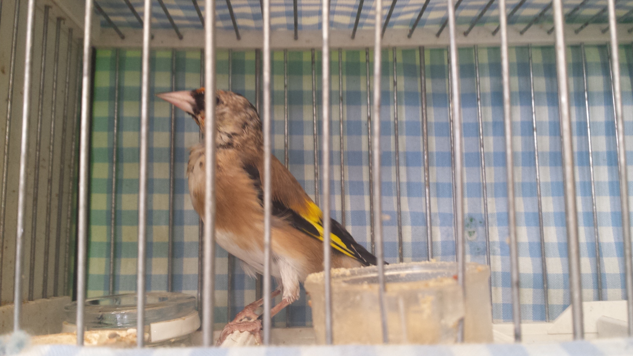 20160130_120406.jpg
