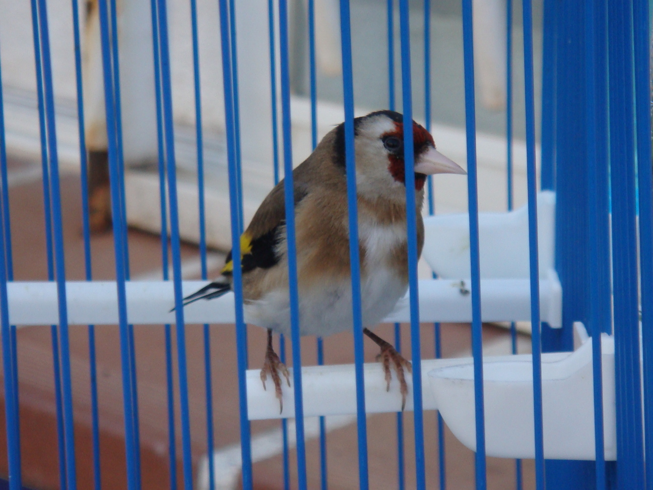 DSC04708.JPG