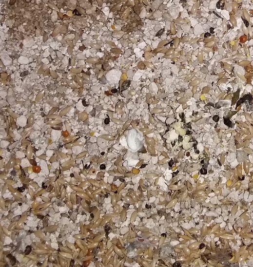 2016-02-16 20.29.41.jpg