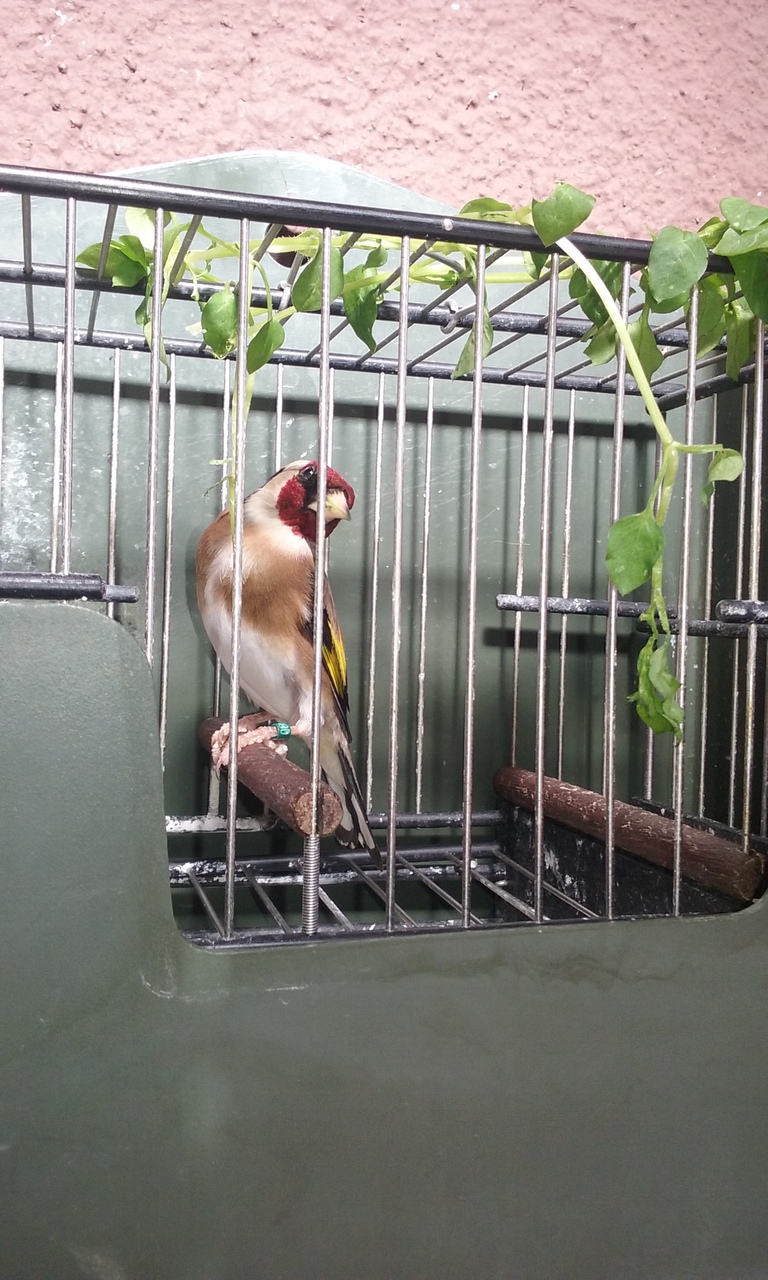 20160220_124232.jpg