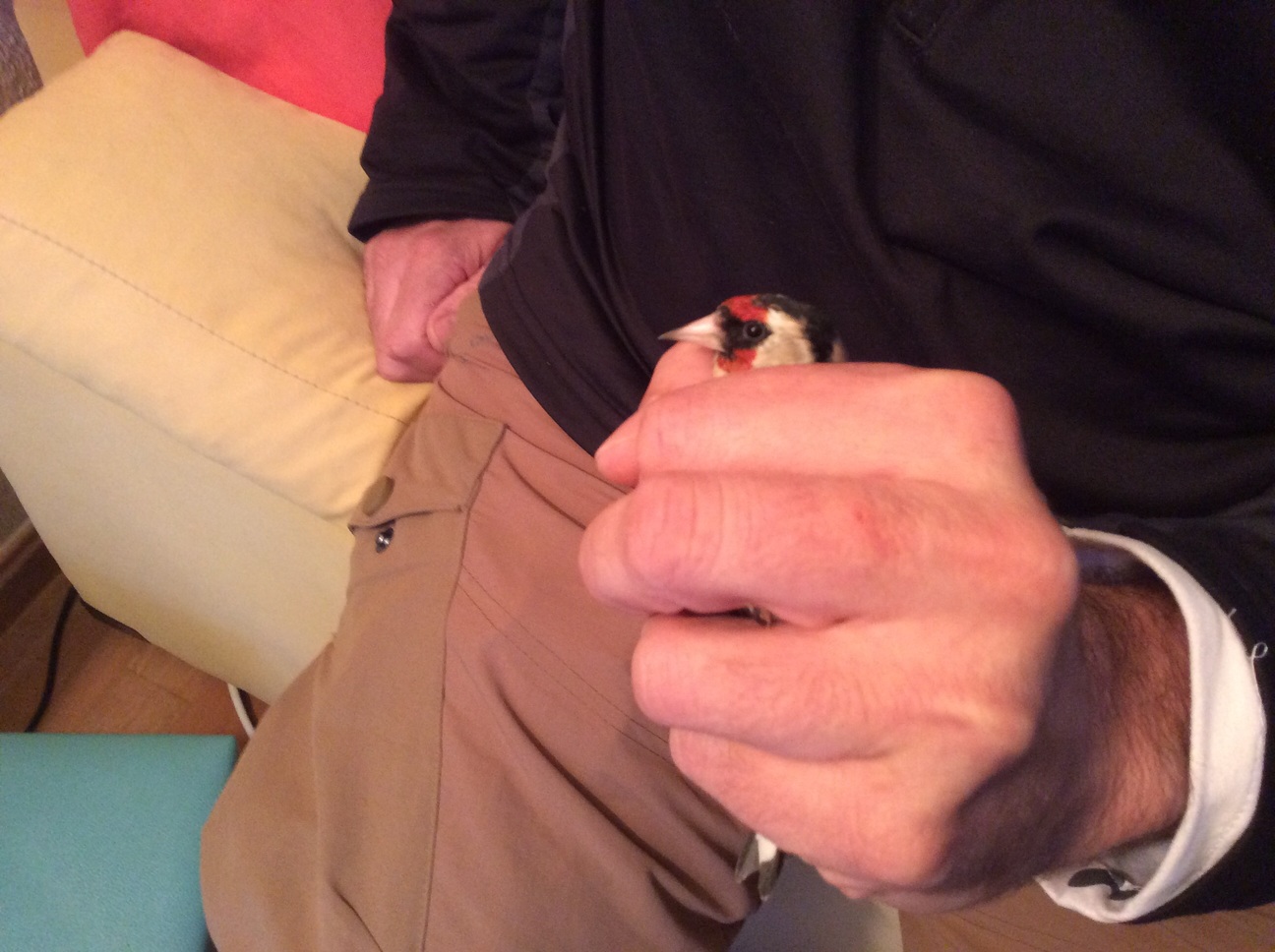 image.jpg
