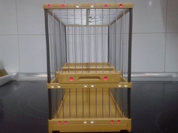 jaula señorita puerta.jpg