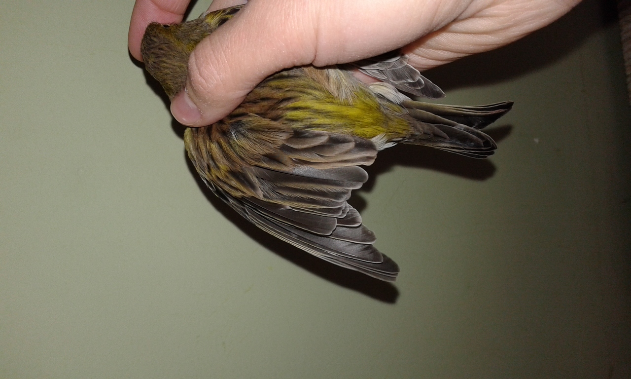 20160222_113322.jpg