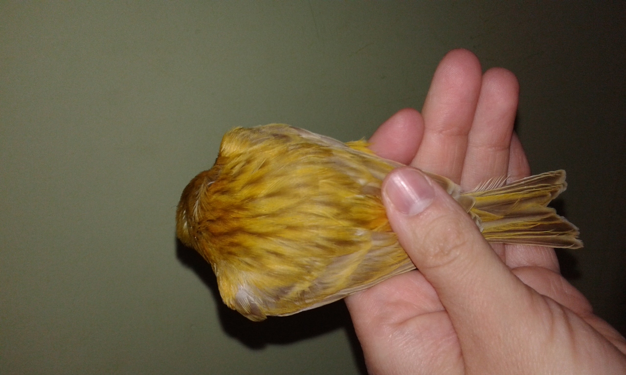 20160222_113619.jpg