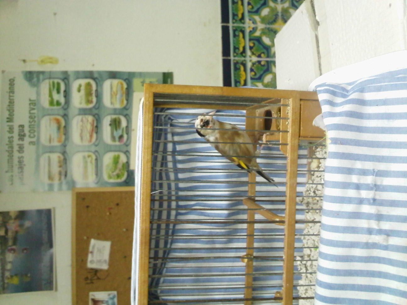 IMG084.jpg