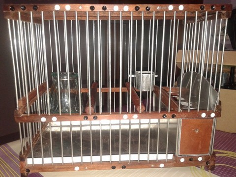 jaula zebra madera frente.jpg