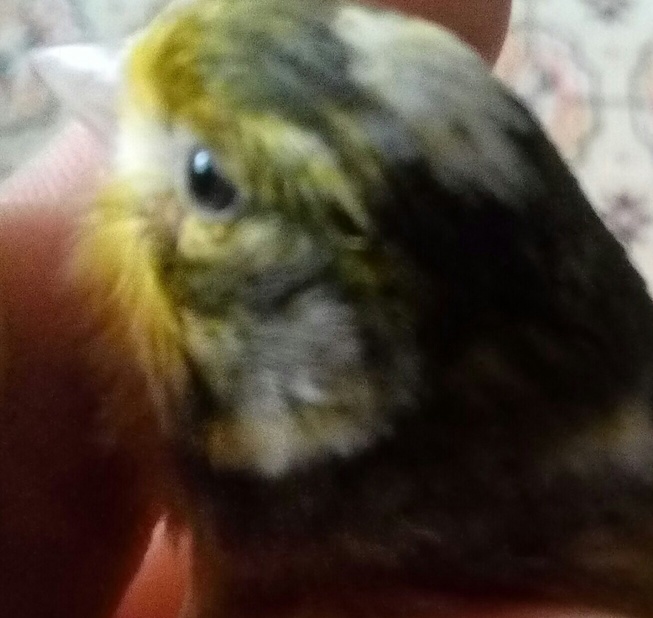 image.jpg
