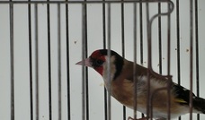 CIMG0325.JPG