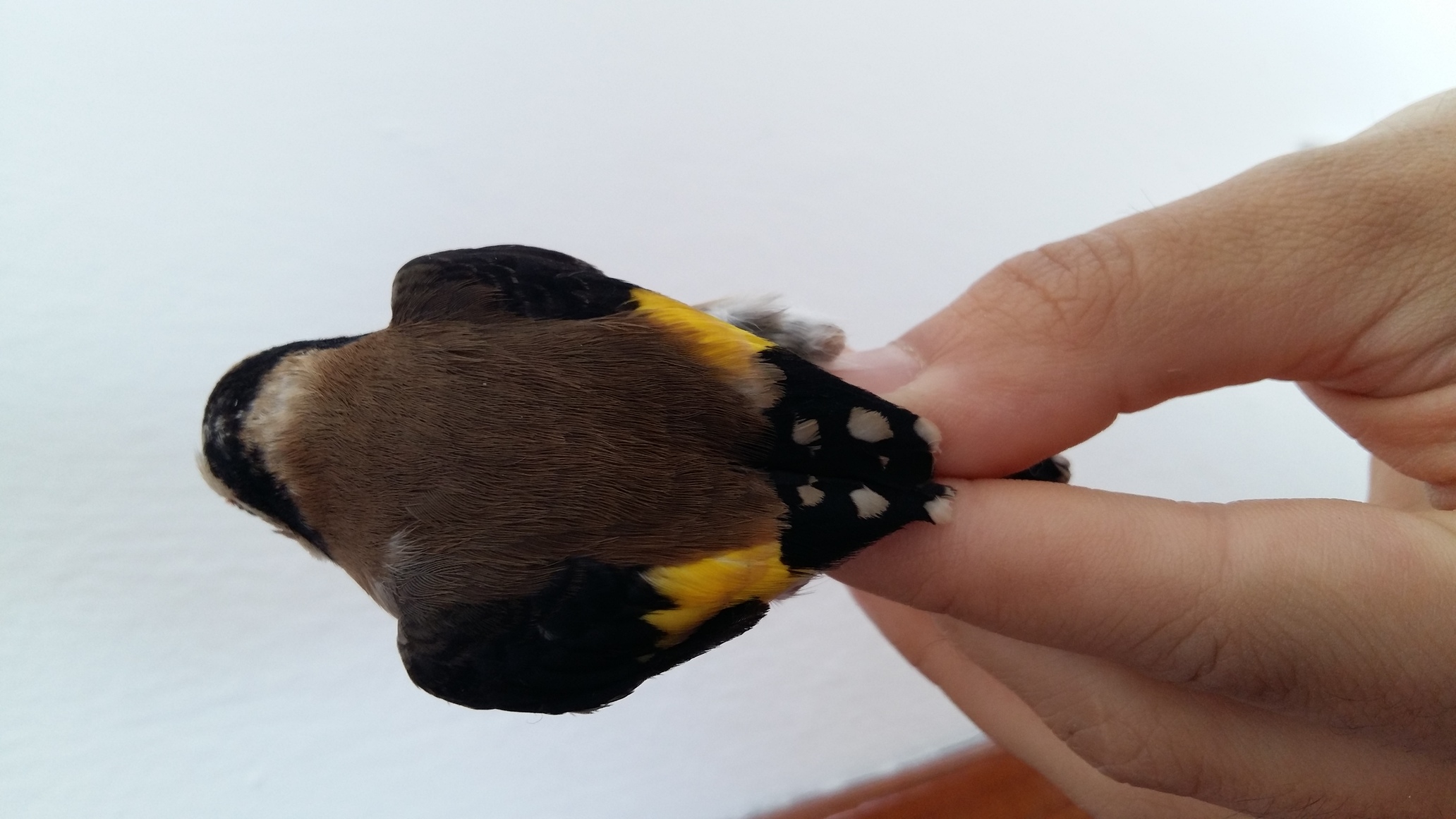 20160418_110948.jpg