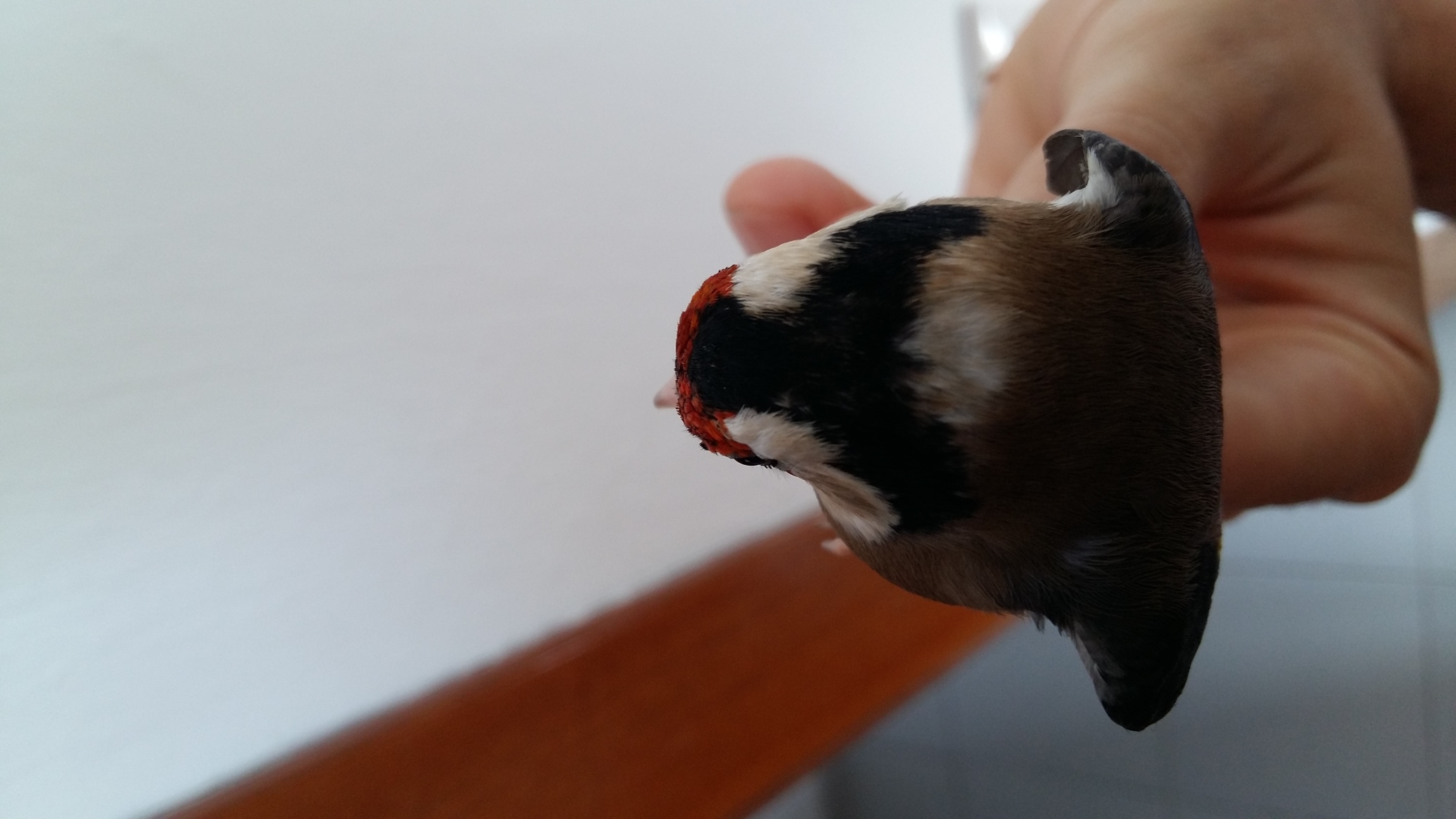 20160418_111006.jpg