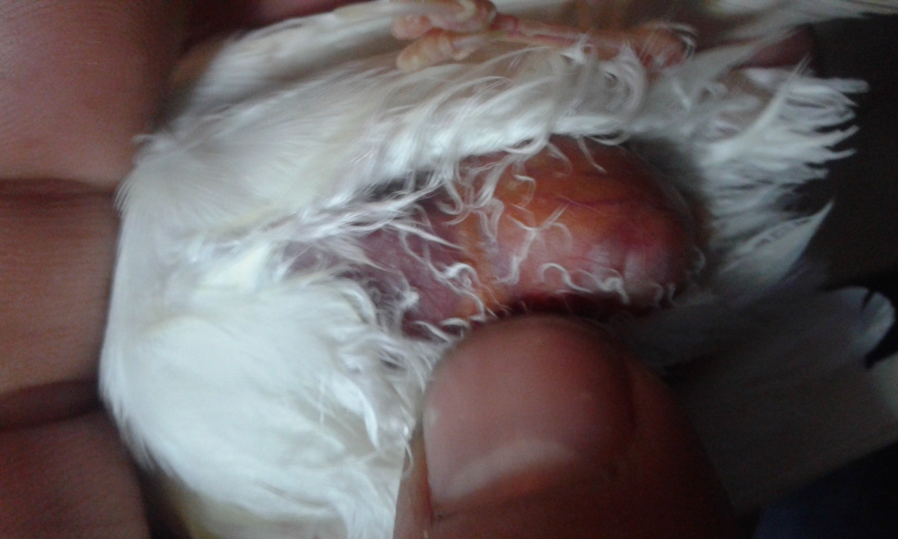 20160418_211820.jpg