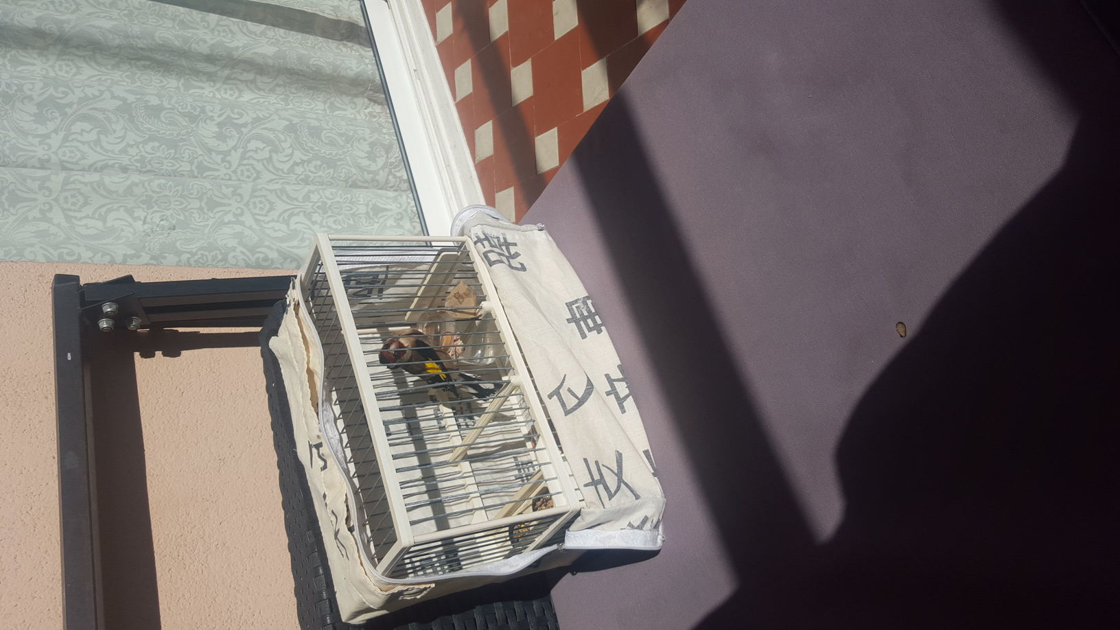 IMG-20160310-WA0002.jpeg