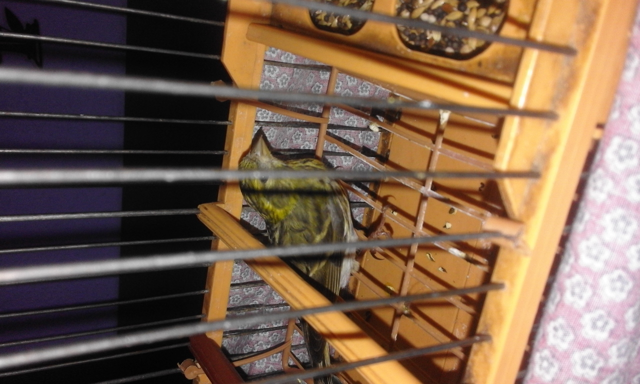 20160421_153311.jpg