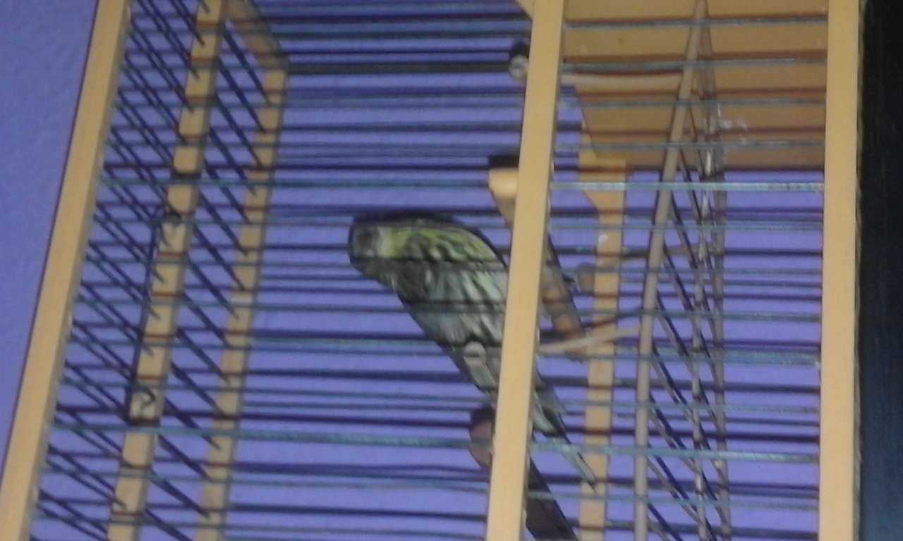 20160424_152132.jpg