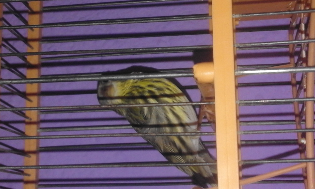 20160424_152145.jpg