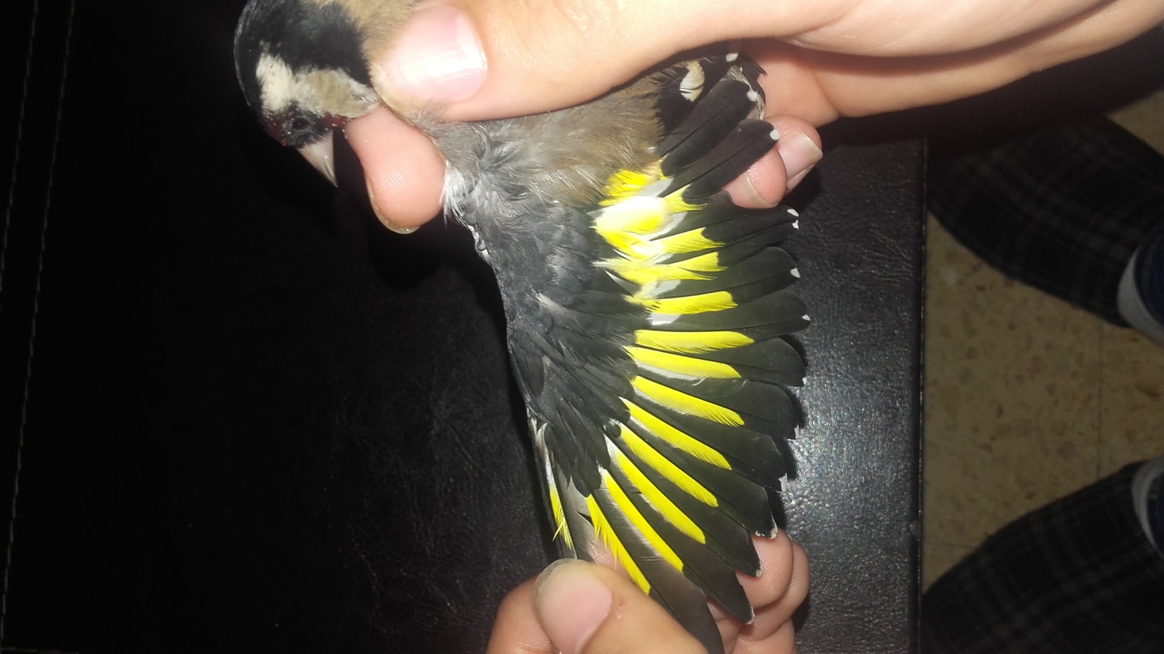 20160419_144307.jpg