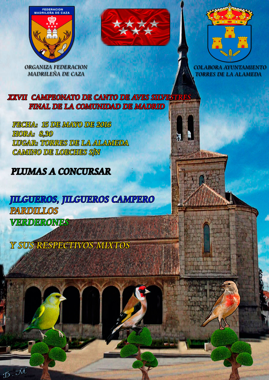 CARTEL CPTO. AUT. 2016.jpg