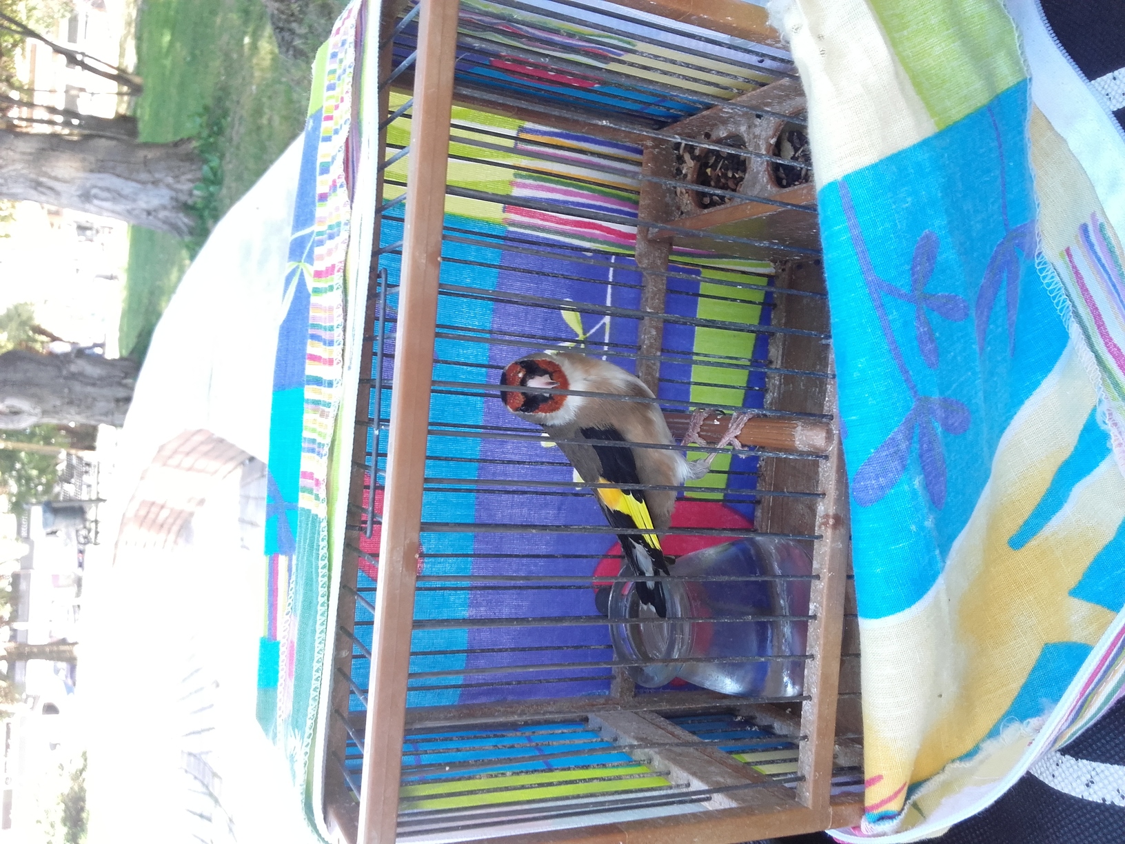 20160503_171940.jpg