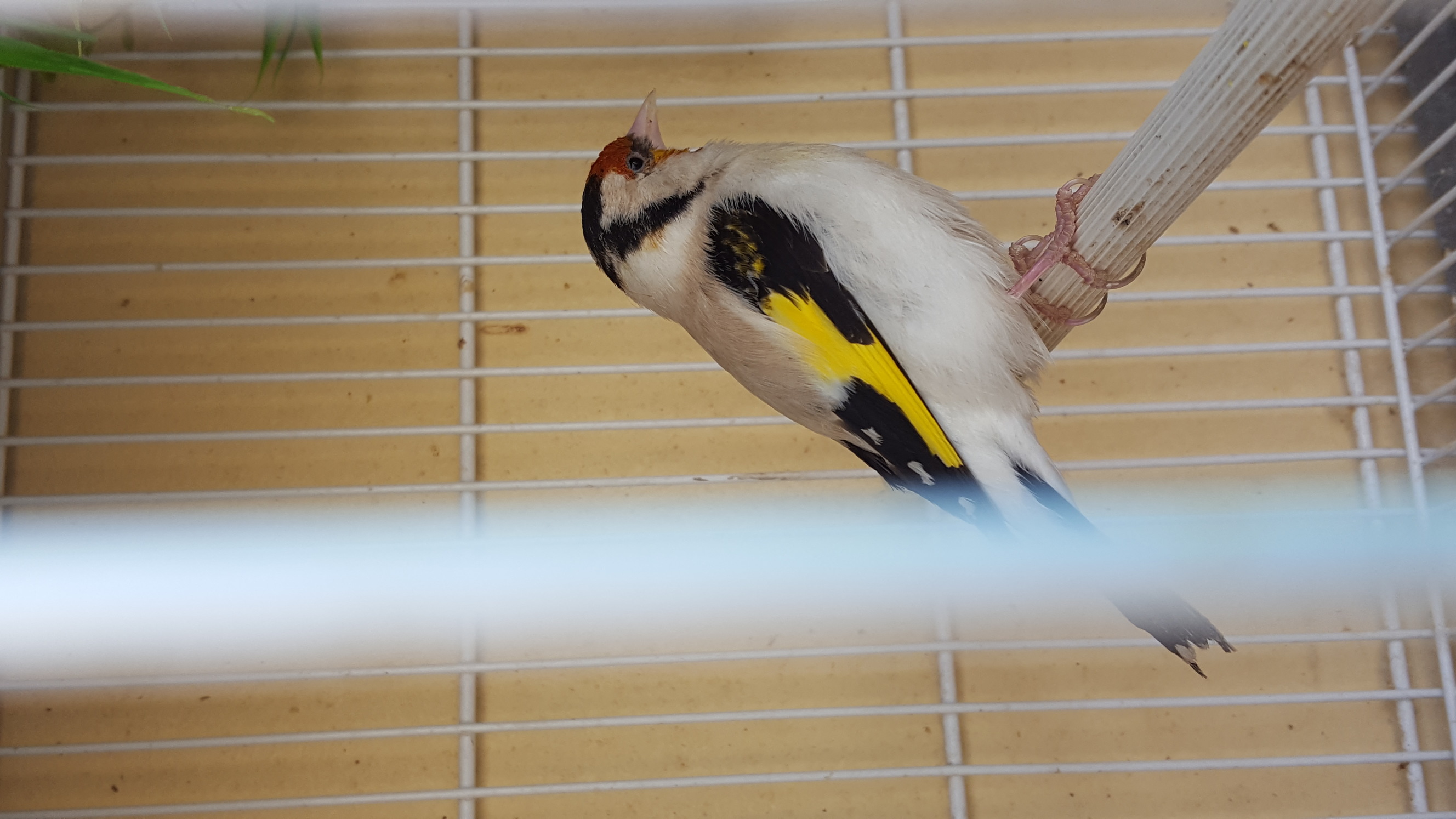 20160515_160053.jpg