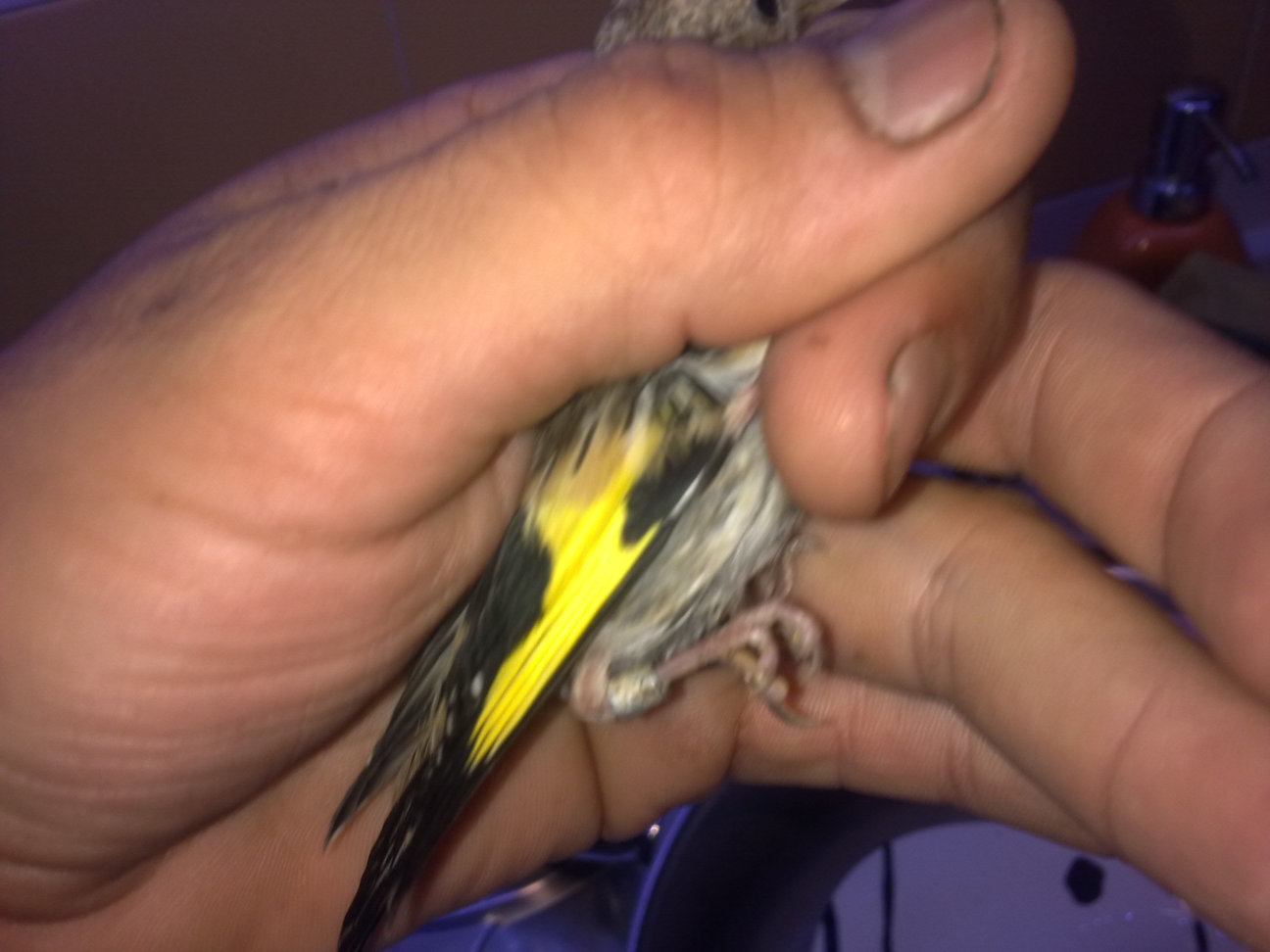 07062011062.jpg