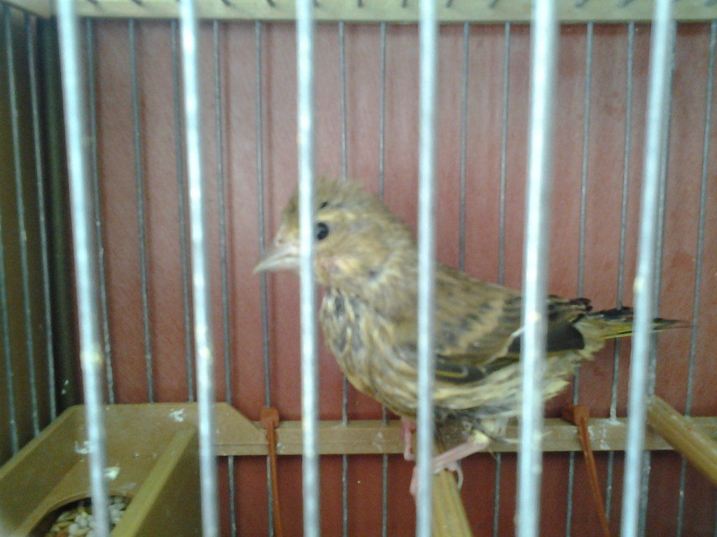 20160519_104127.jpg