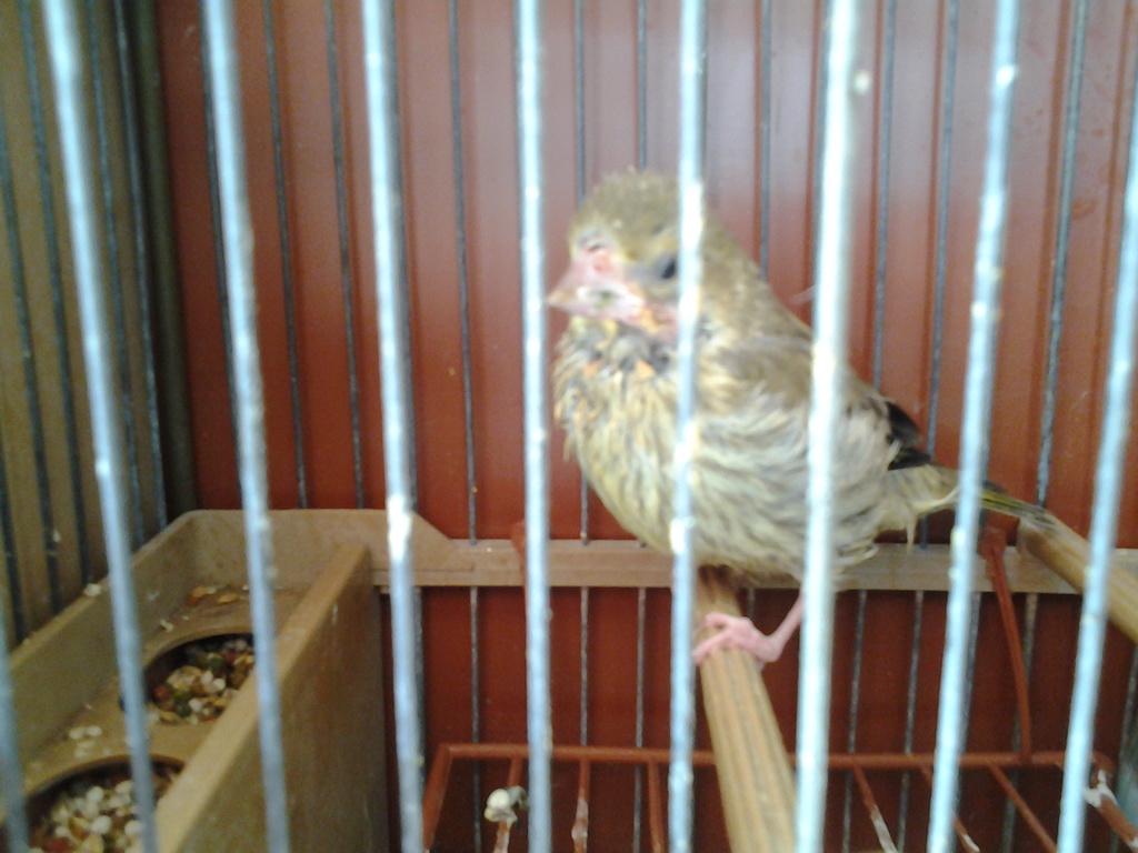 20160519_104009.jpg