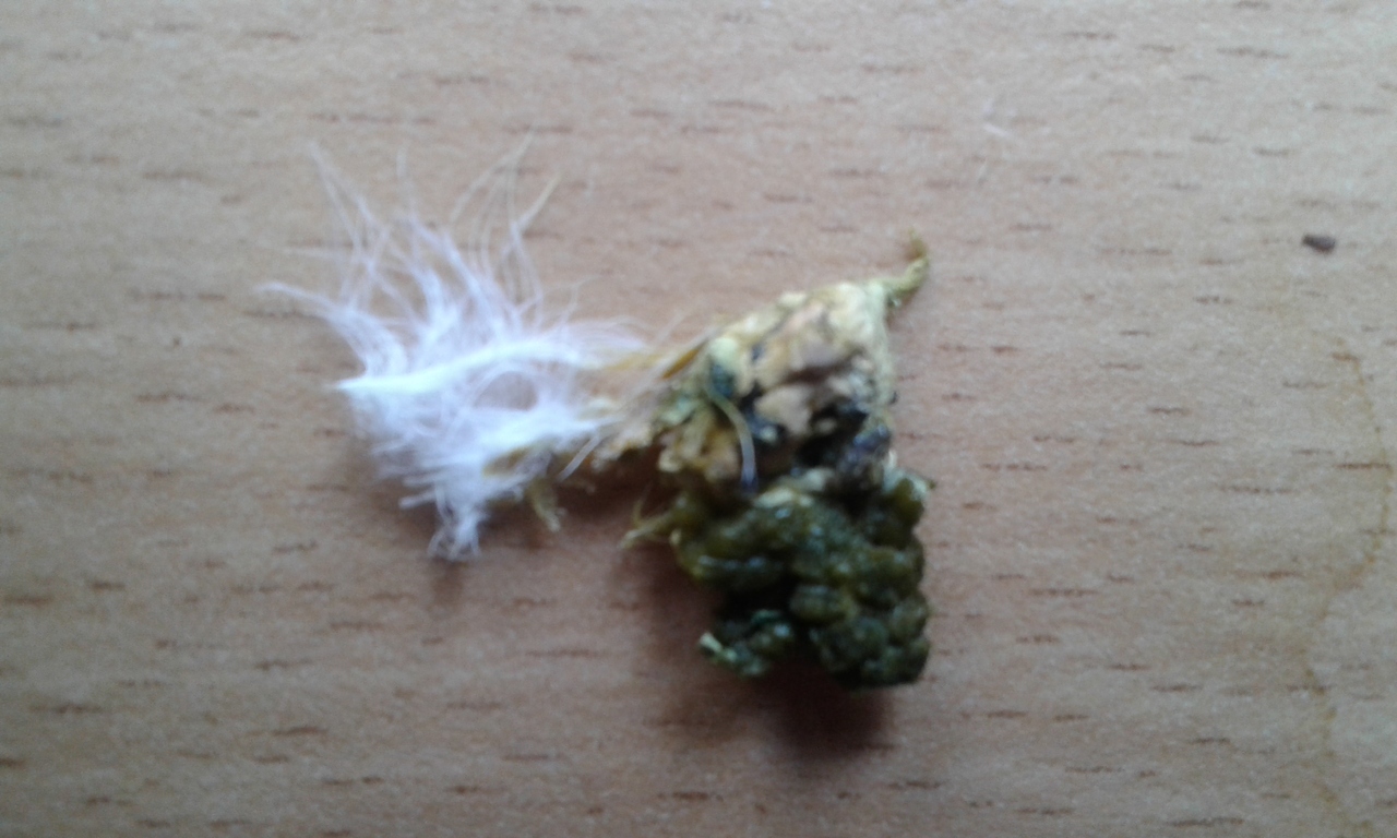 20160520_124518.jpg