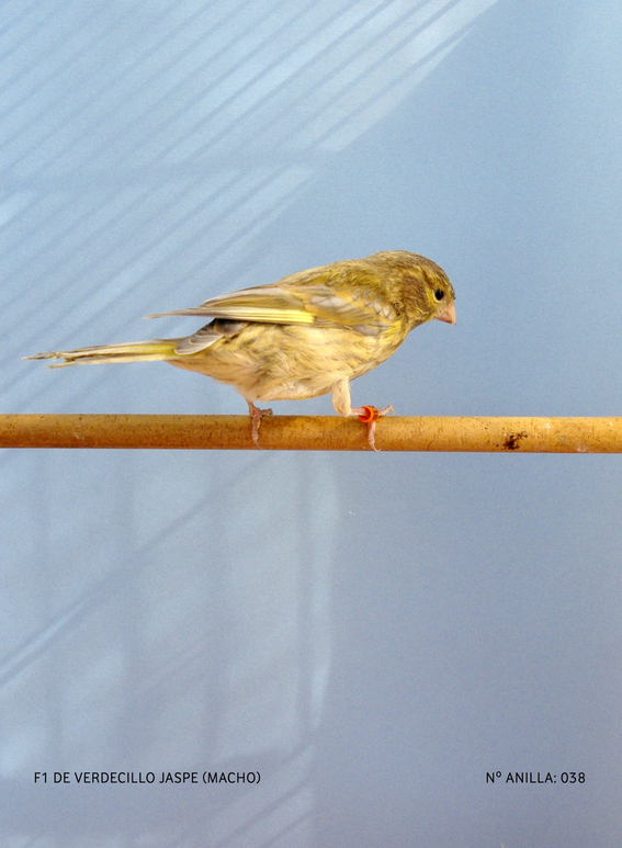 5b.jpg