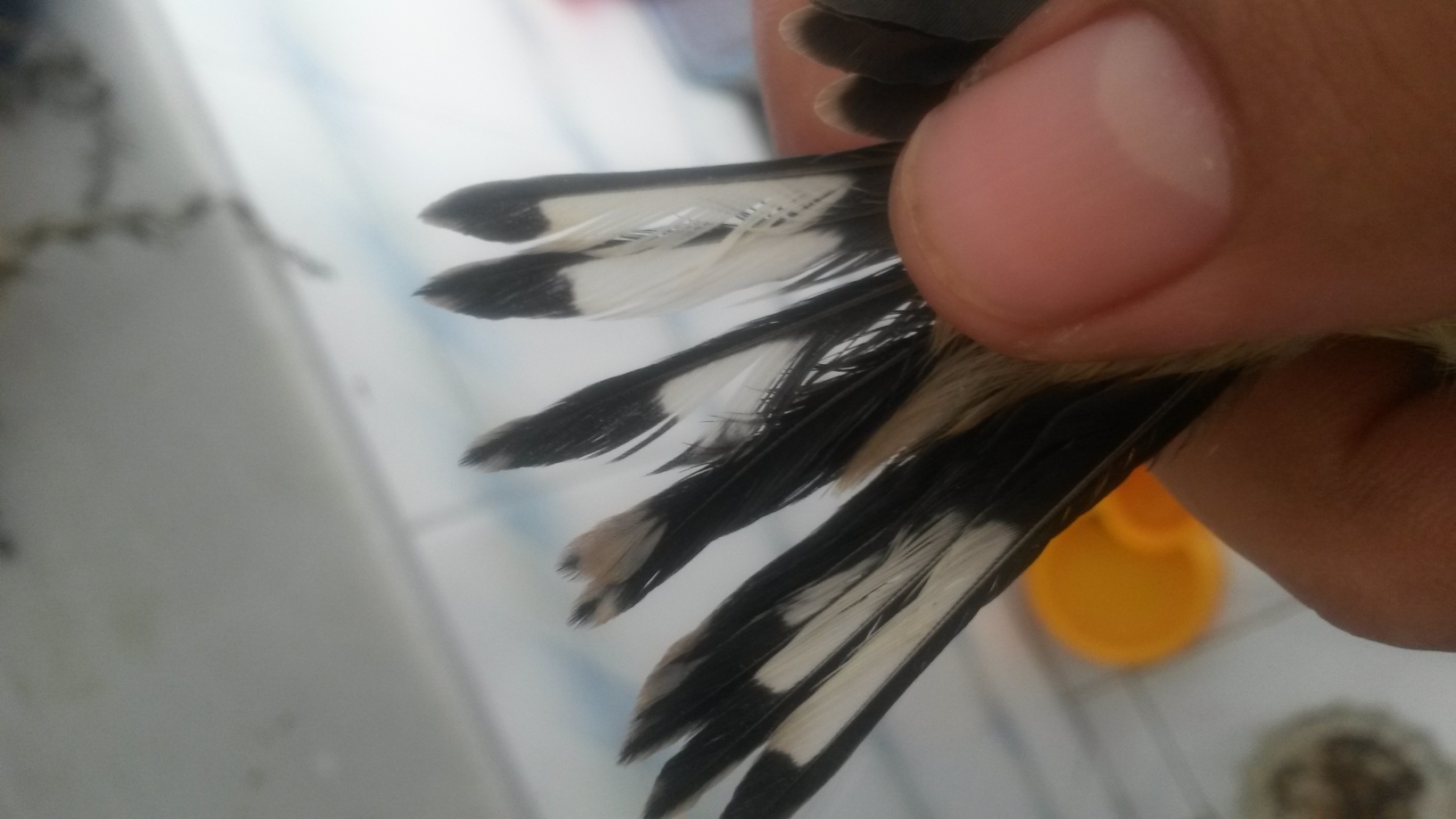 20160614_164450.jpg