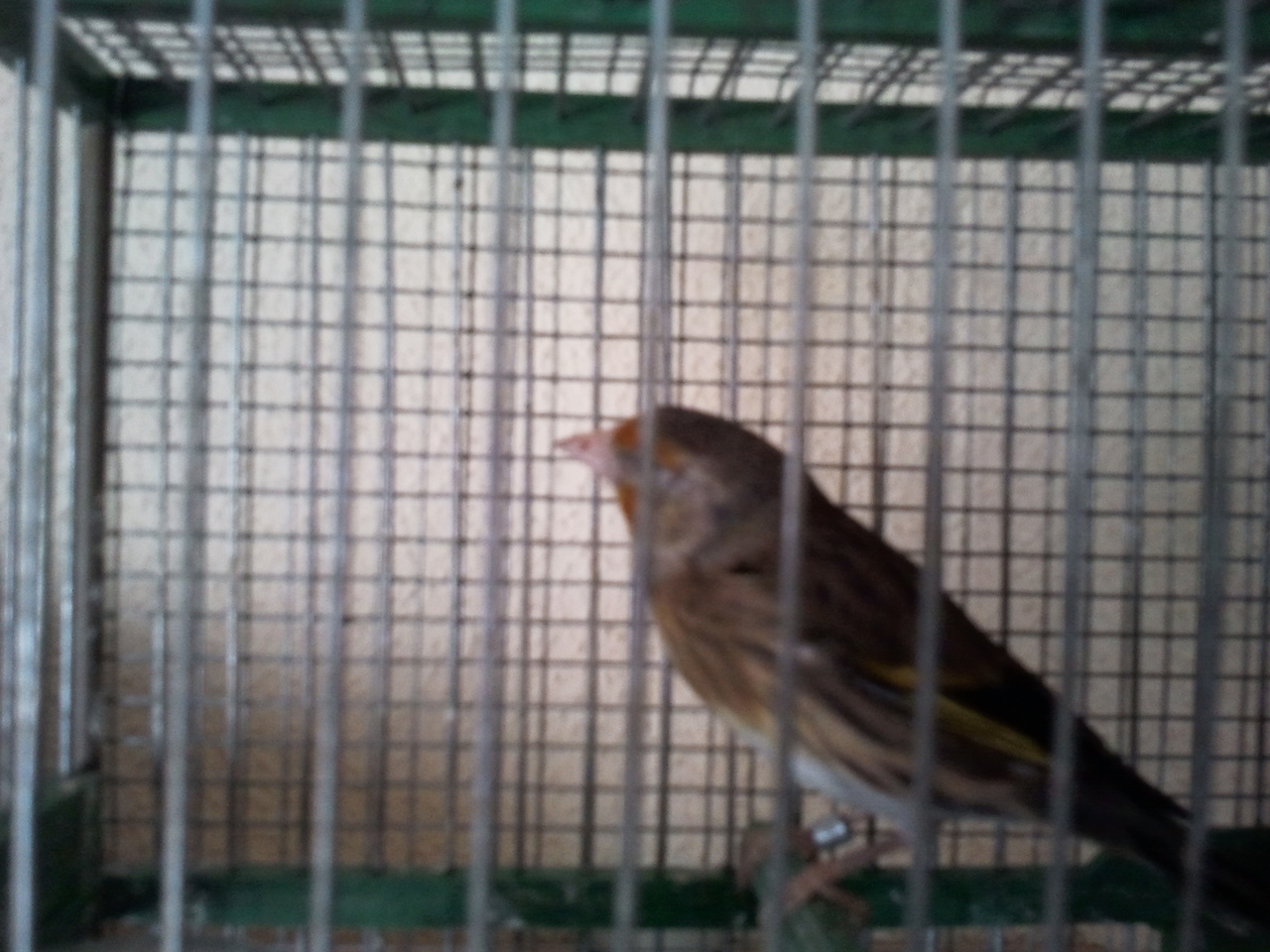 2011-06-09 17.12.29.jpg