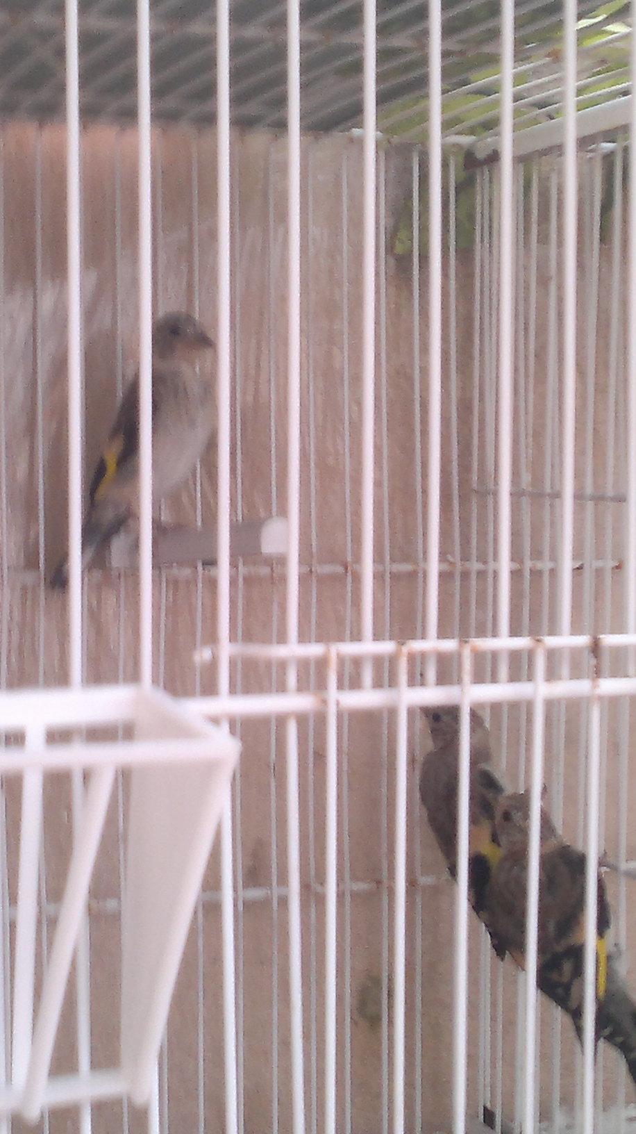 09062011082.jpg