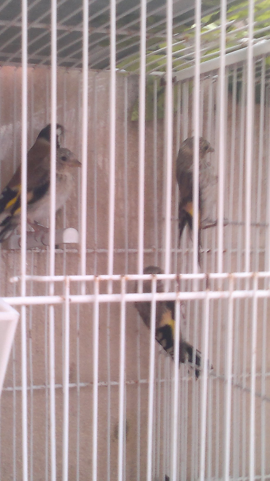 09062011083.jpg